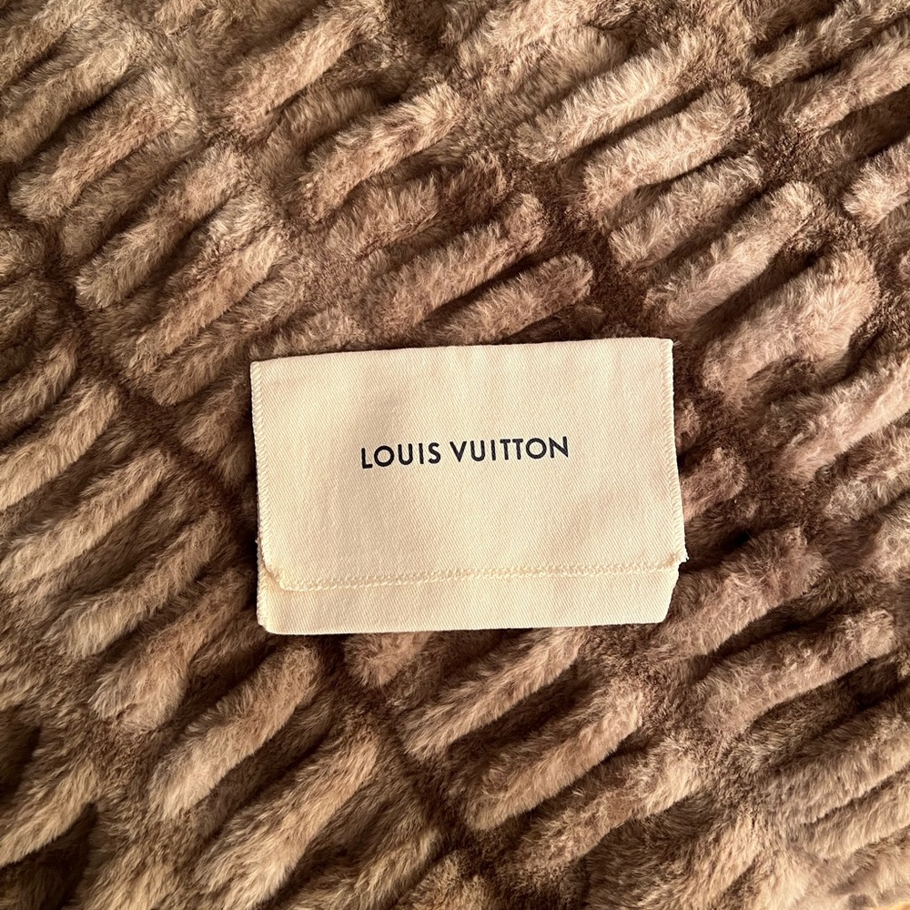 🎉BRAND NEW small Louis Vuitton dustbag
